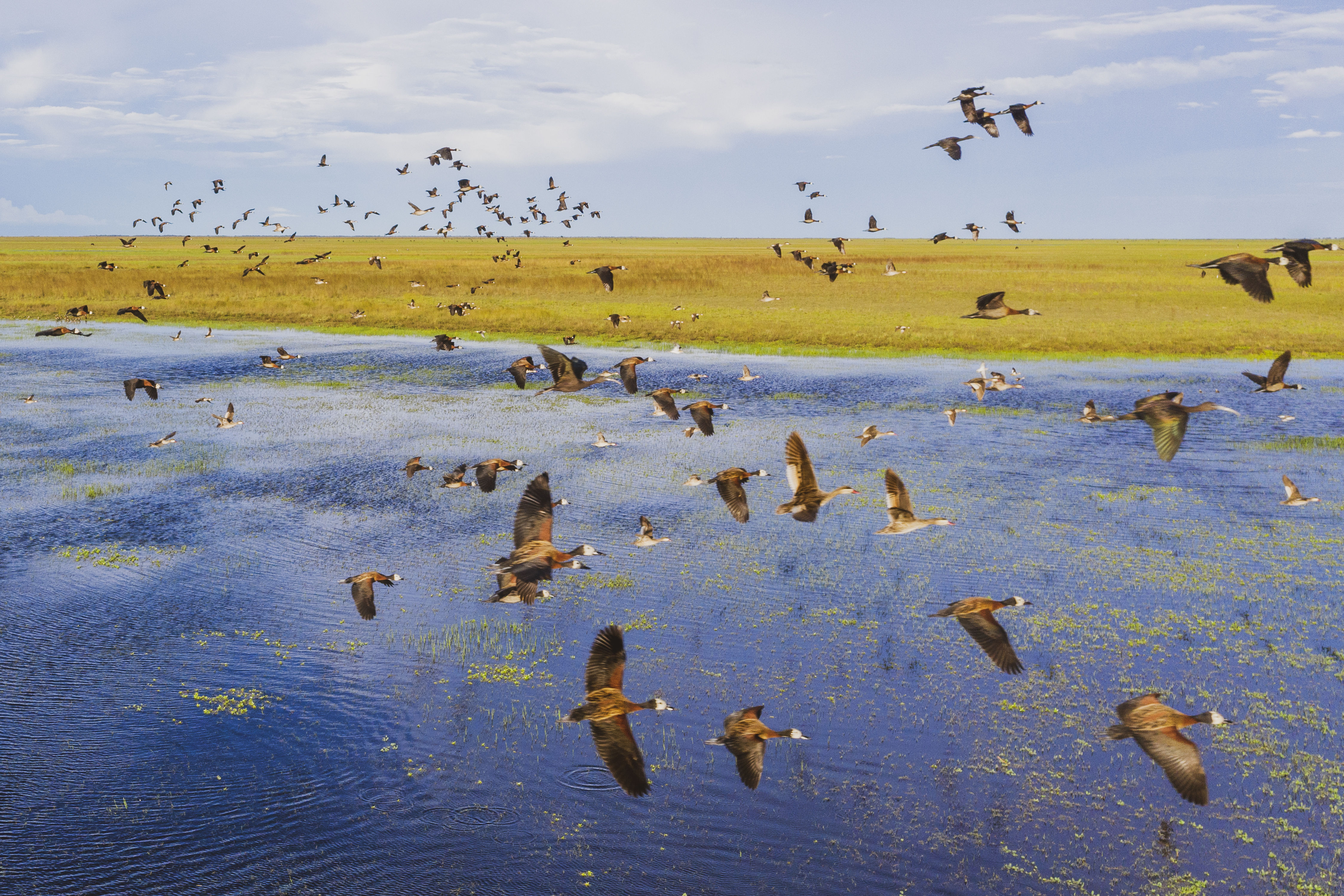 LiuwaPlains_PBentley-31